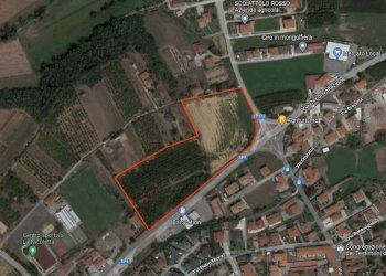 Terreno edificabile Via Circonvallazione, Carrù - foto 1