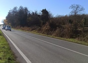 Terreno edificabile Via Circonvallazione, Carrù - foto 2