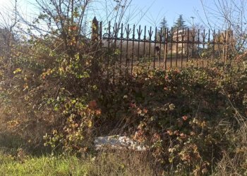 Terreno edificabile Via Circonvallazione, Carrù - foto 3