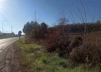 Terreno edificabile Via Circonvallazione, Carrù - foto 5