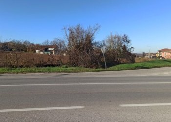 Terreno edificabile Via Circonvallazione, Carrù - foto 6