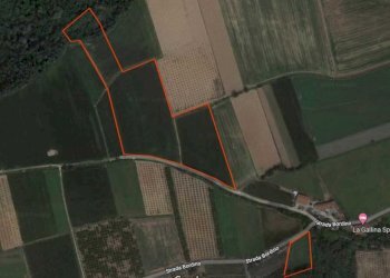 Terreno edificabile Strada Coste Preosa, Carrù - foto 1