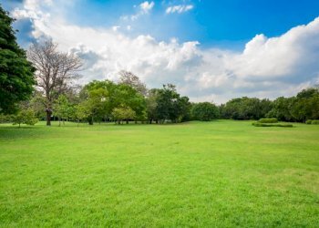 Terreno edificabile Strada Coste Preosa, Carrù - foto 2