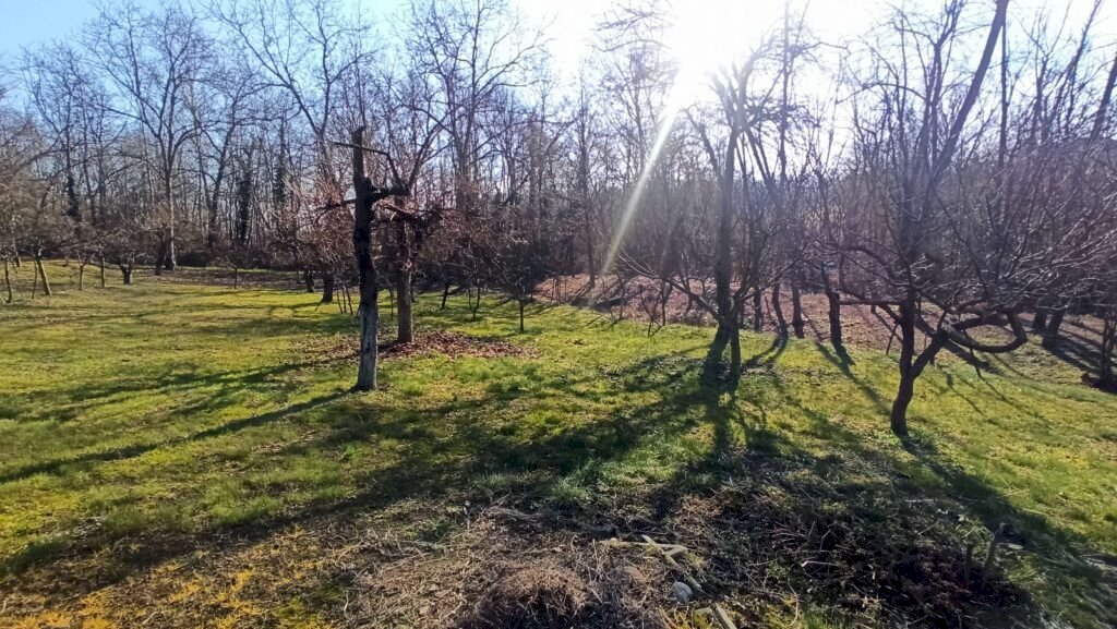 Rustico Carrù - foto 2