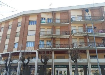 Trilocale Carrù - foto 10