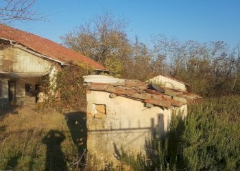 Rustic Piozzo - photo 5