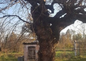 Rustic Piozzo - photo 7