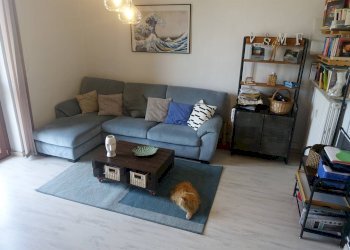 Trilocale Settimo Torinese - foto 4