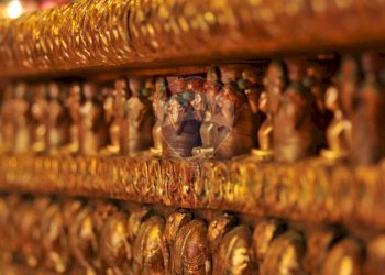 Locale Commerciale Idice, San Lazzaro di Savena, San Lazzaro di Savena - foto 15