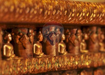 Locale Commerciale Idice, San Lazzaro di Savena, San Lazzaro di Savena - foto 16