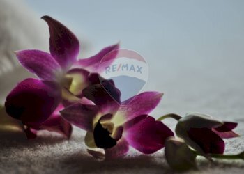 Locale Commerciale Idice, San Lazzaro di Savena, San Lazzaro di Savena - foto 17