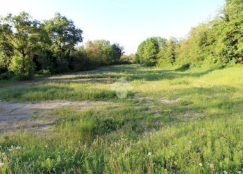 Independent house Via Statutaria, Casalgrande - photo 4