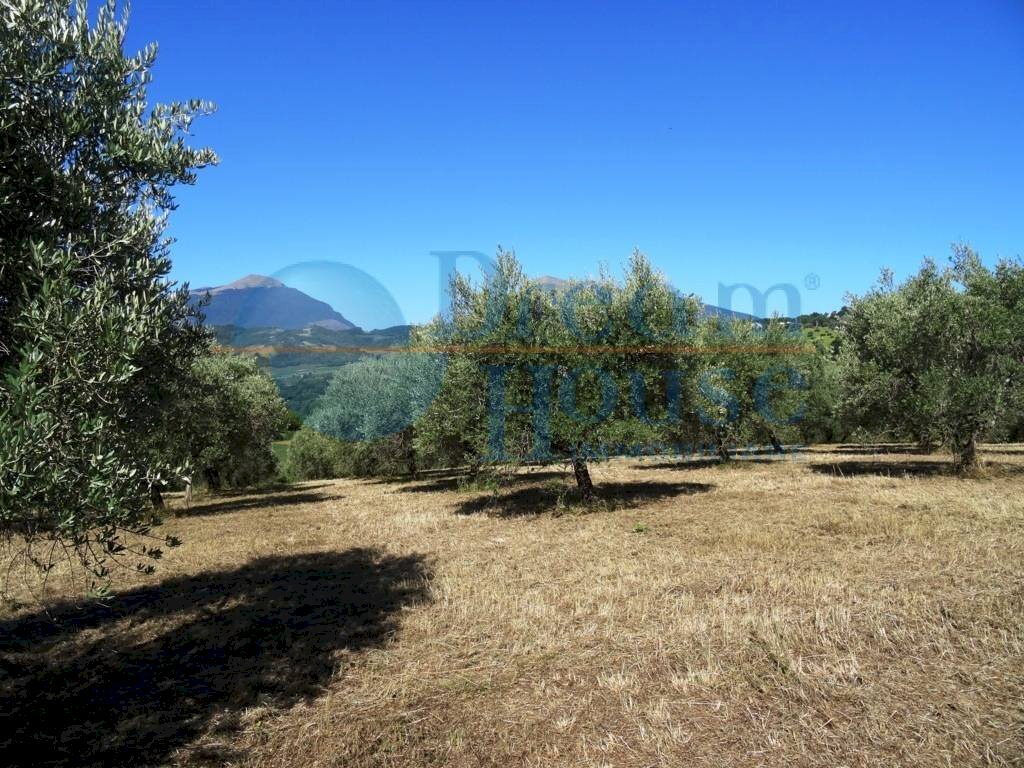 Foto 2 - Agricultural land Fraz. Molviano, Campli - photo 2