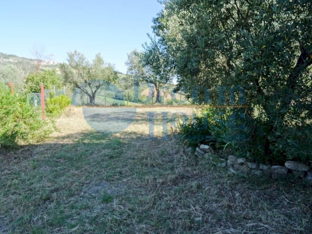 Foto 3 - Agricultural land Fraz. Molviano, Campli - photo 3