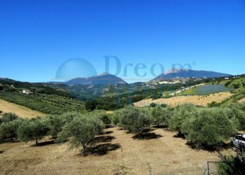 Foto 1 - Terreno agricolo Fraz. Molviano, Campli - foto 1