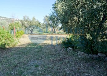 Foto 3 - Terreno agricolo Fraz. Molviano, Campli - foto 3