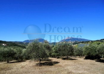 Foto 4 - Terreno agricolo Fraz. Molviano, Campli - foto 4