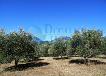 Foto 5 - Terreno agricolo Fraz. Molviano, Campli - foto 5