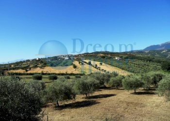 Foto 7 - Terreno agricolo Fraz. Molviano, Campli - foto 7