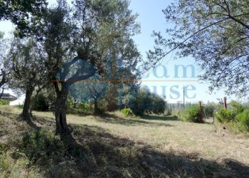 Foto 9 - Terreno agricolo Fraz. Molviano, Campli - foto 9