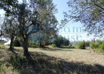 Foto 10 - Terreno agricolo Fraz. Molviano, Campli - foto 10