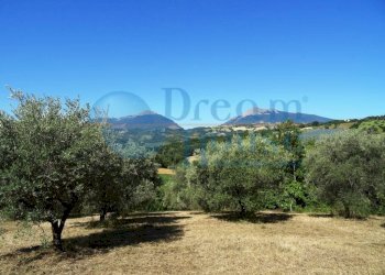 Foto 11 - Terreno agricolo Fraz. Molviano, Campli - foto 11