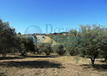 Foto 12 - Terreno agricolo Fraz. Molviano, Campli - foto 12