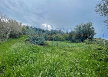 Foto 4 - Agricultural land via palmisano, Silvi - photo 4