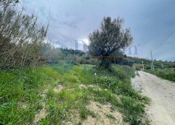 Foto 10 - Agricultural land via palmisano, Silvi - photo 10