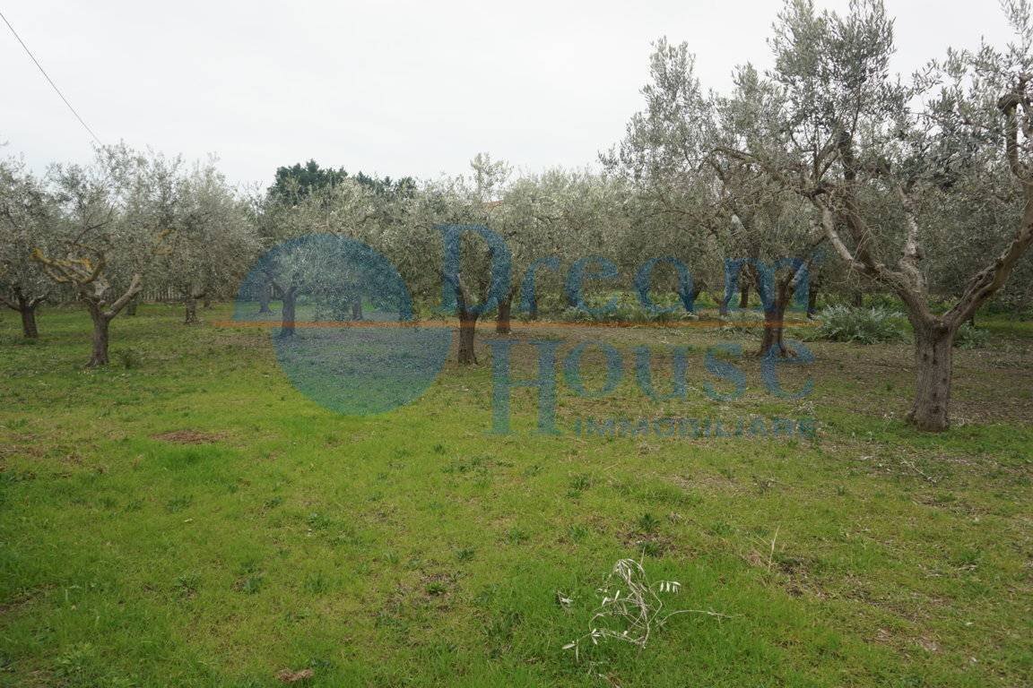 Foto 1 - Terreno edificabile via ricci, Martinsicuro - foto 1