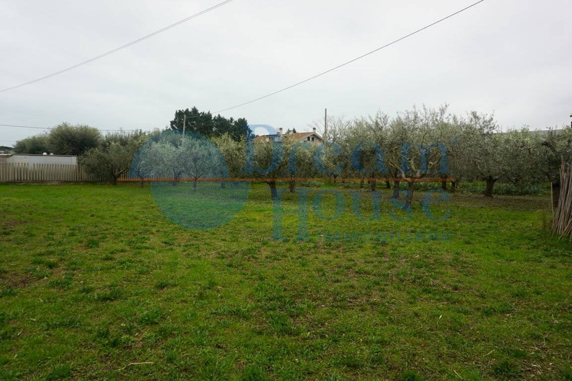 Foto 2 - Terreno edificabile via ricci, Martinsicuro - foto 2