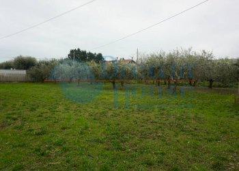 Foto 2 - Terreno edificabile via ricci, Martinsicuro - foto 2