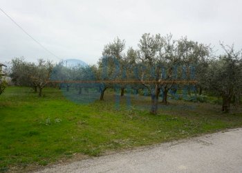 Foto 5 - Terreno edificabile via ricci, Martinsicuro - foto 5