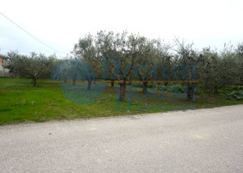 Foto 6 - Terreno edificabile via ricci, Martinsicuro - foto 6