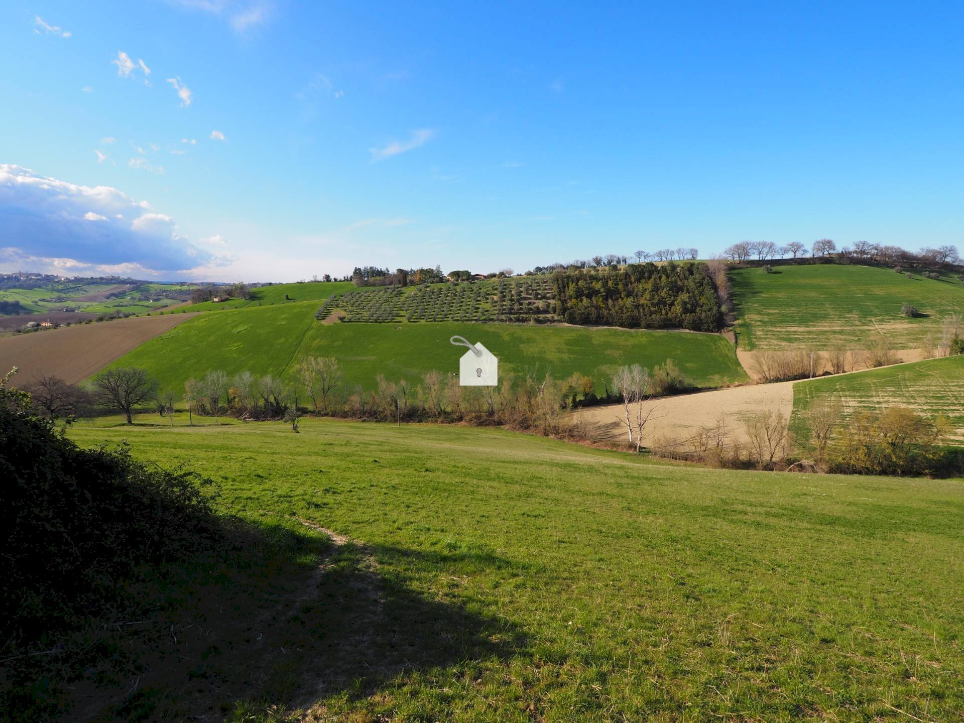 Foto 8 - Terreno agricolo zona macina, Mogliano - foto 3