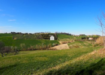 Foto 6 - Terreno agricolo zona macina, Mogliano - foto 1