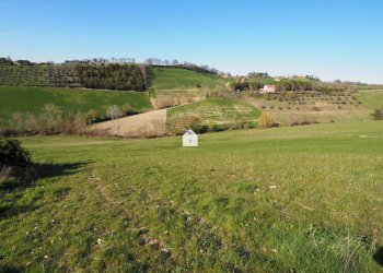 Foto 7 - Terreno agricolo zona macina, Mogliano - foto 2