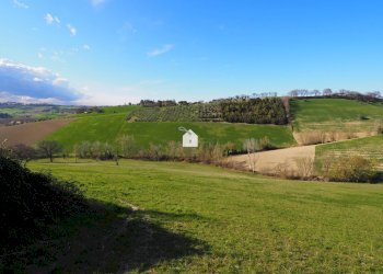 Foto 8 - Terreno agricolo zona macina, Mogliano - foto 3