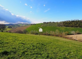Foto 10 - Terreno agricolo zona macina, Mogliano - foto 5