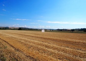 Foto 16 - Terreno edificabile Via Le Conce, Corridonia - foto 7