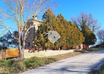 Foto 13 - Rustico c.da censuato, Mogliano - foto 6