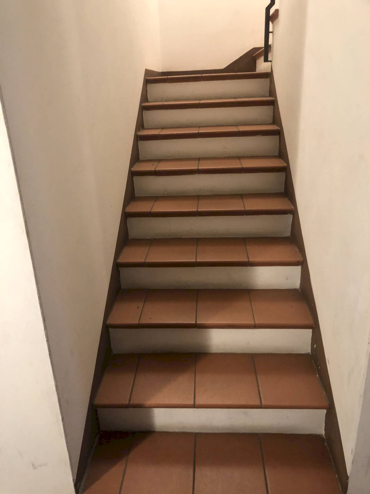 Foto 3 - Trilocale Via Palmieri
snc, Ferrara - foto 3