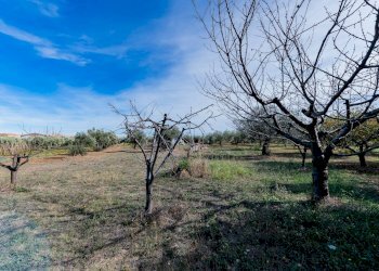 Foto 24 - Casa indipendente Via della liberazione, Torrevecchia Teatina - foto 24