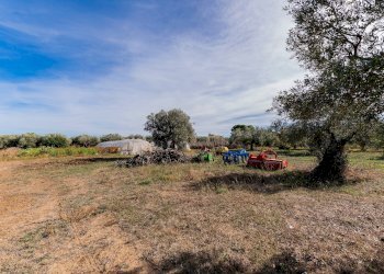Foto 35 - Casa indipendente Via della liberazione, Torrevecchia Teatina - foto 35