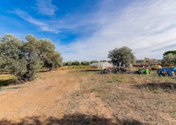 Foto 36 - Casa indipendente Via della liberazione, Torrevecchia Teatina - foto 36