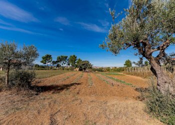 Foto 37 - Casa indipendente Via della liberazione, Torrevecchia Teatina - foto 37