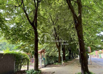 Foto 14 - Trilocale via Roma
 
22, Assago - foto 14