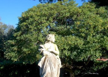 Foto 16 - Villa VIA PISORNO
 
14, Pisa - foto 16