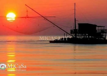 Foto 8 - Attività Commerciale Via Enrico Diacono, Pisa - foto 8