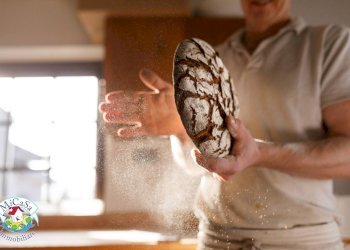 Foto 1 - Attività Commerciale Pisa - foto 1